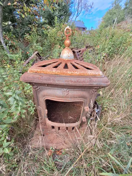 Old cast iron stove sitting in tall grass